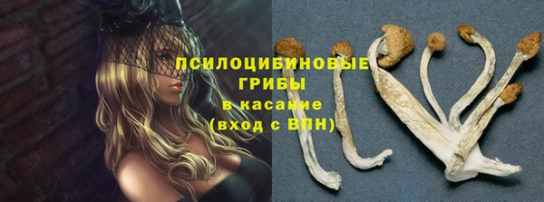 ГАЛЛЮЦИНОГЕННЫЕ ГРИБЫ Абдулино