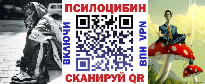 Псилоцибиновые грибы Psilocybe  Иноземцево 